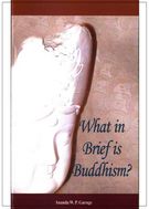 What in Brief Is Buddhism? 佛法大意